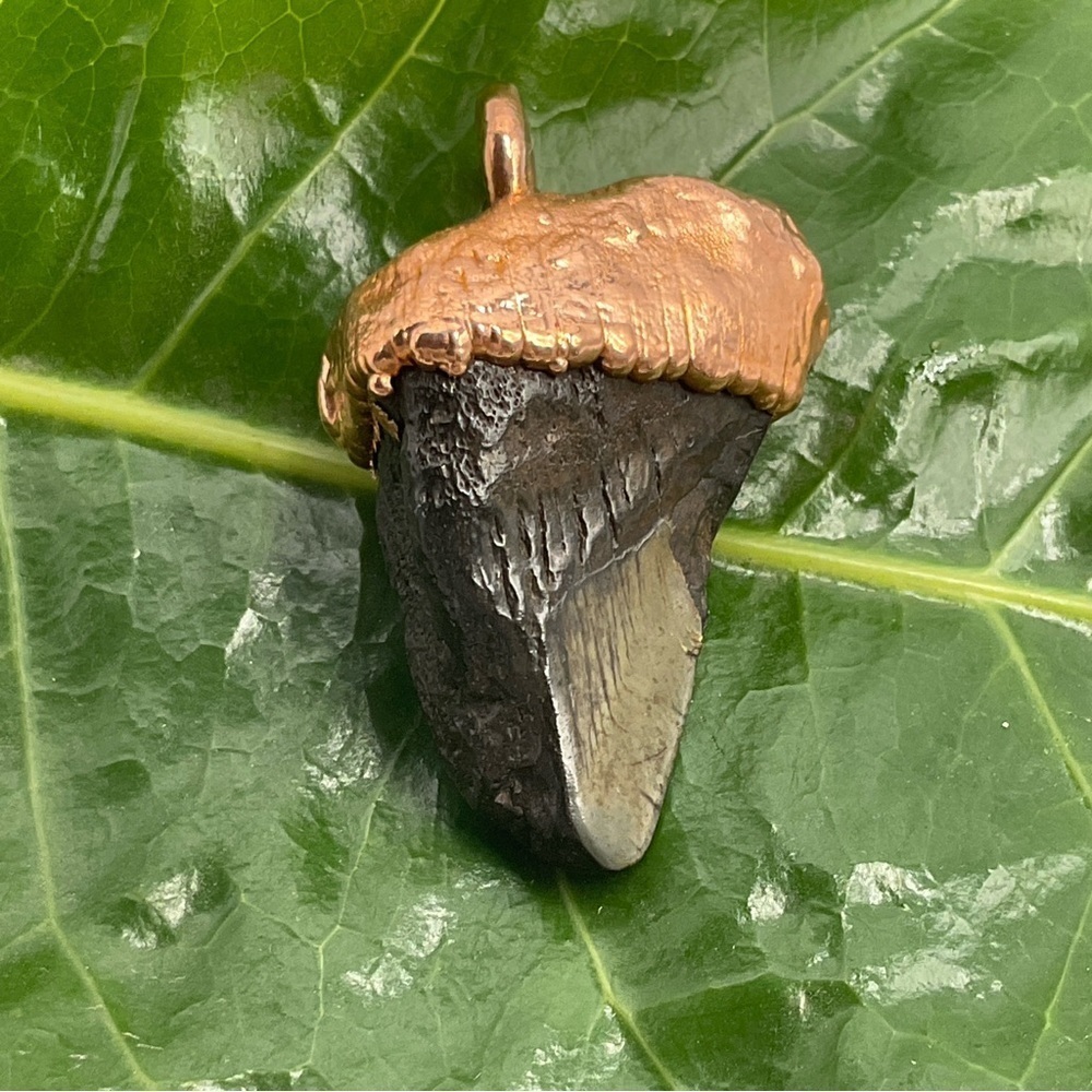 Megalodon Shark Tooth Pendant Fossil Copper Handmade Jewelry Electroform Gift